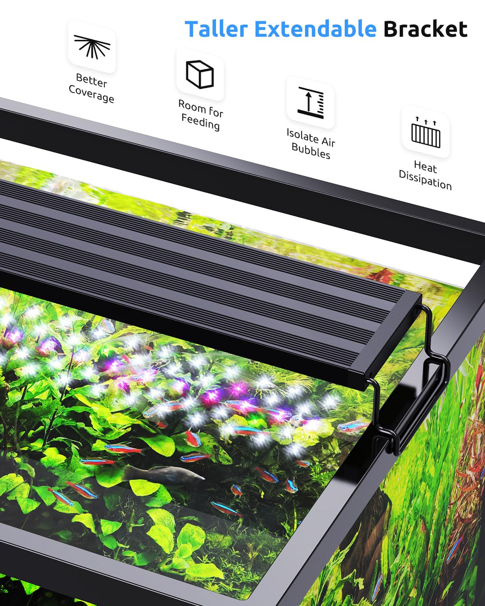 SEAOURA light provides uniform illumination across a tank for better plant growth