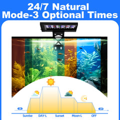 SEAOURA full-spectrum RGB with 6500K white illuminates healthy aquatic plants.