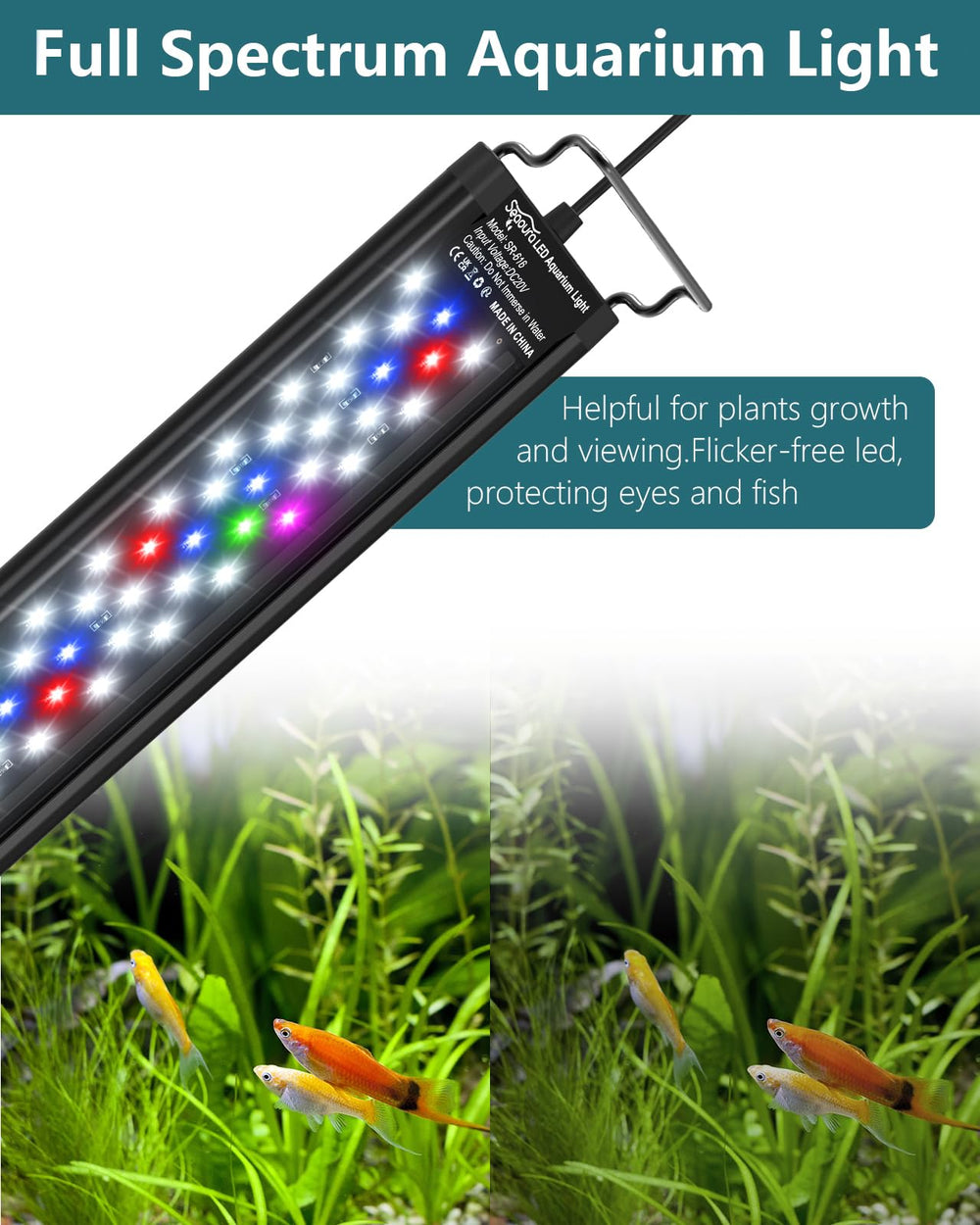SEAOURA full-spectrum LEDs deliver high CRI lighting for natural color rendering.