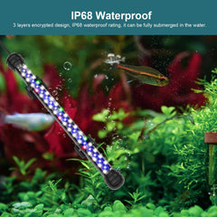 SEAOURA full-spectrum LEDs deliver 6500K white plus color LEDs.