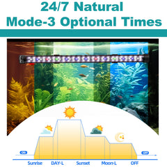 SEAOURA full-spectrum lighting over the tank enhances fish color and plant ambiance.