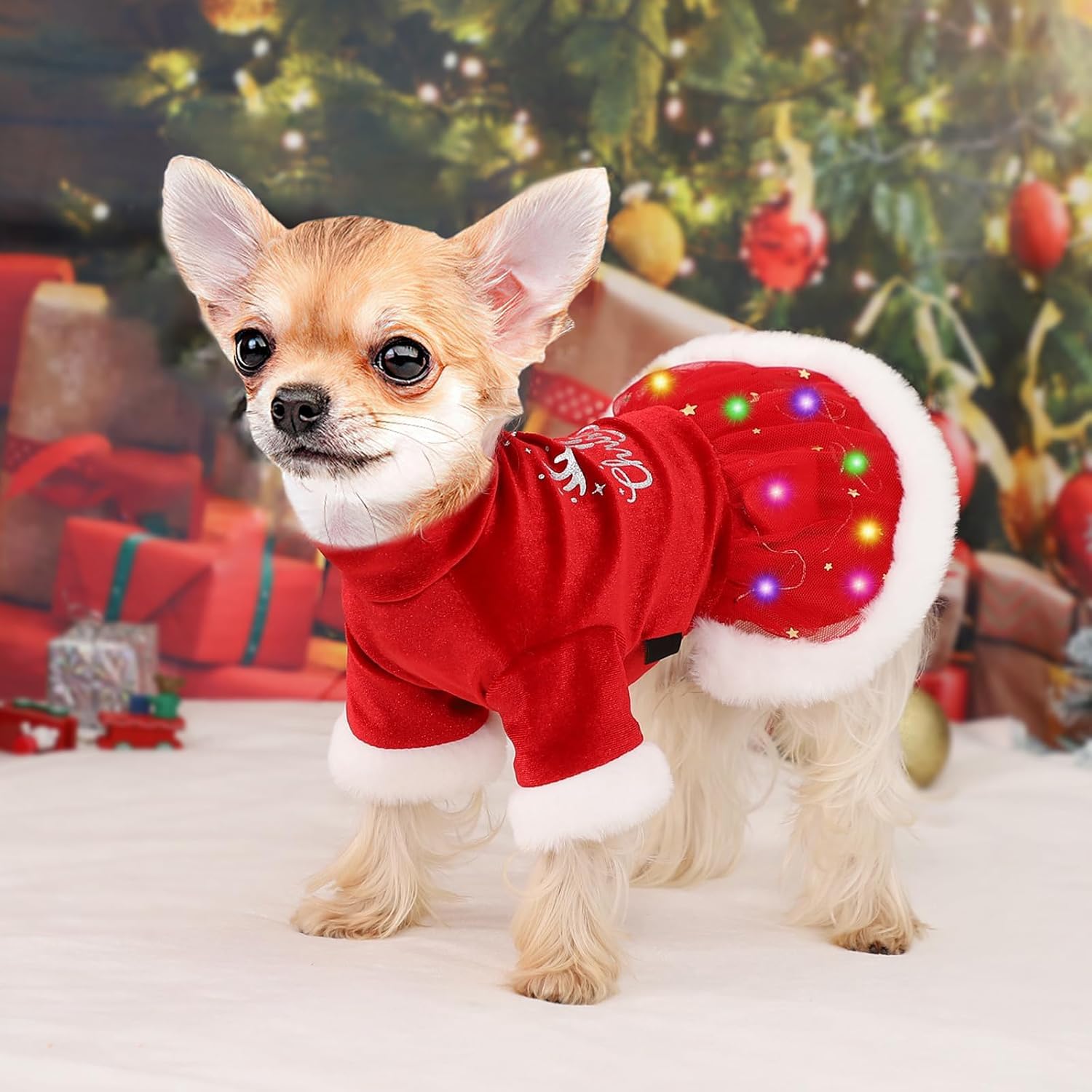 Sebaoyu LED Christmas dog dress worn on a small dog for visible nighttime walking.