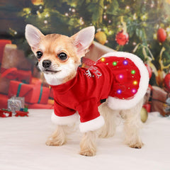 Sebaoyu LED Christmas dog dress worn on a small dog for visible nighttime walking.