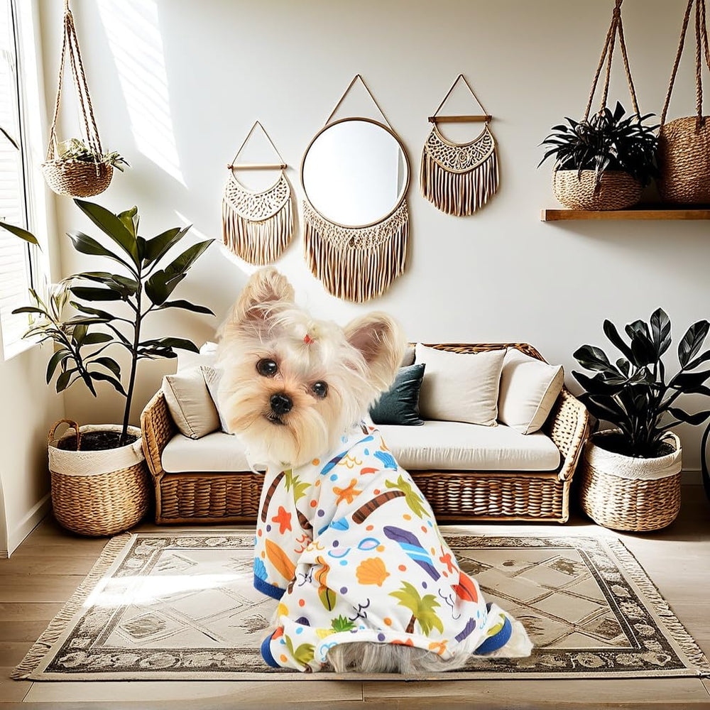 Sebaoyu dog pajamas worn by tiny teacup dogs for cozy nights
