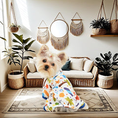 Sebaoyu dog pajamas worn by tiny teacup dogs for cozy nights