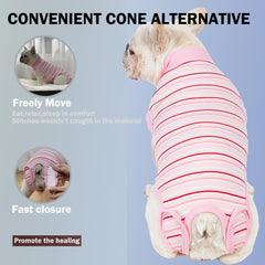 Sebidtco dog suit rolled up demonstrates adjustable coverage during recovery