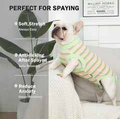 Sebidtco recovery suit on a dog's side demonstrates comfortable fit and mobility.