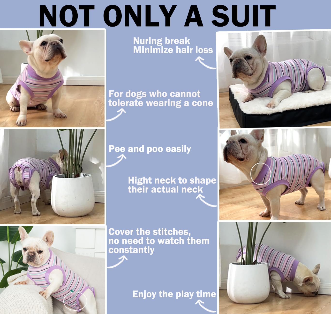 Sebidtco recovery suit dogs sleeping promotes calm and cozy recovery.