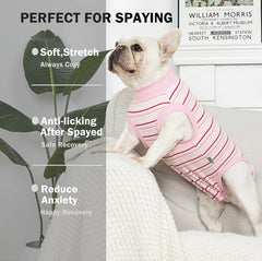 Sebidtco Recovery Suit for Dogs demonstrates stitch protection and abdominal coverage.
