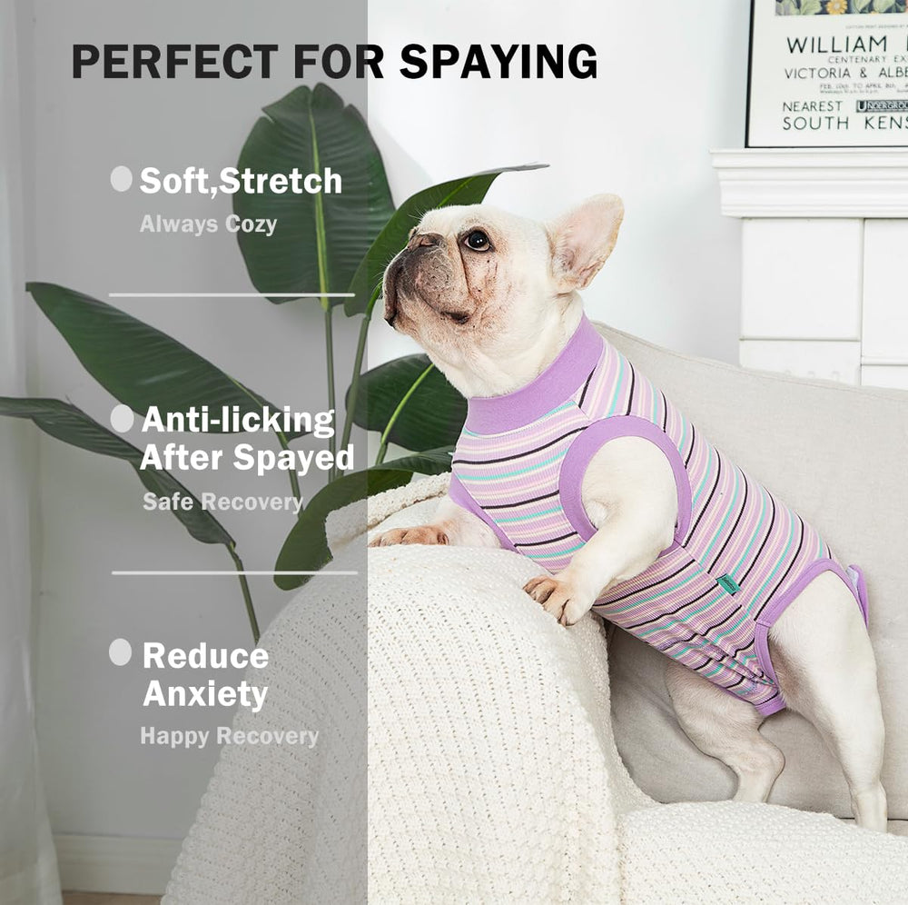 Sebidtco recovery suit being worn reduces cone need and improves comfort.