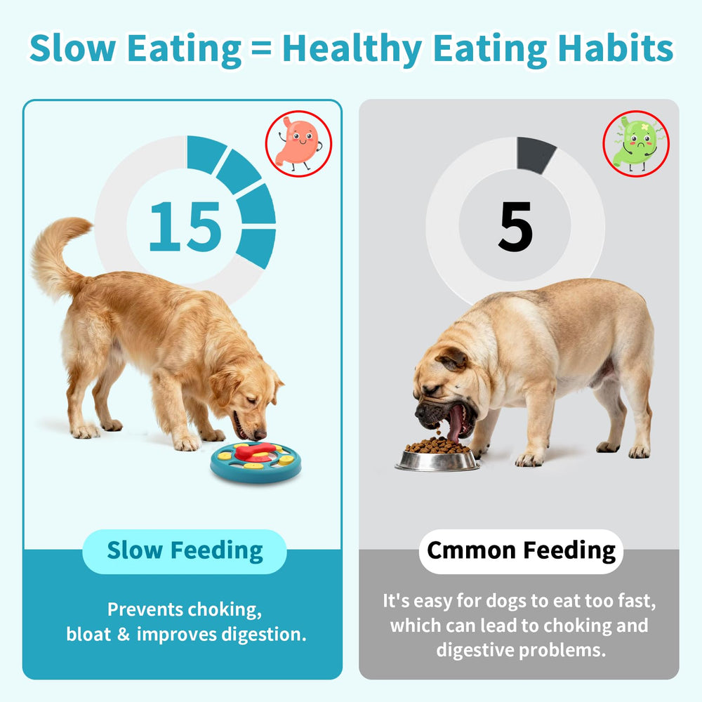 Secyba anti-slip base focus prevents slips during play.