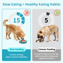 Secyba anti-slip base focus prevents slips during play.