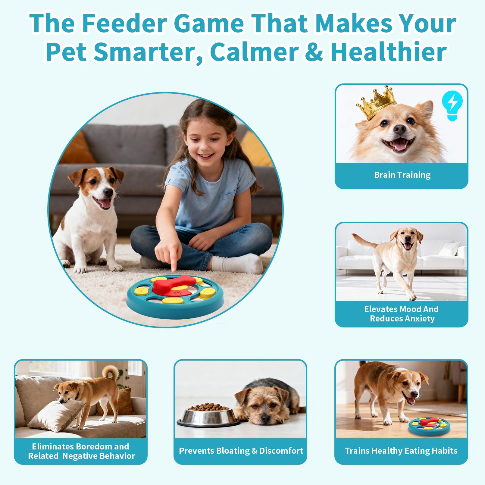 Secyba paw-nose slide-play focus for energy burn and foraging.