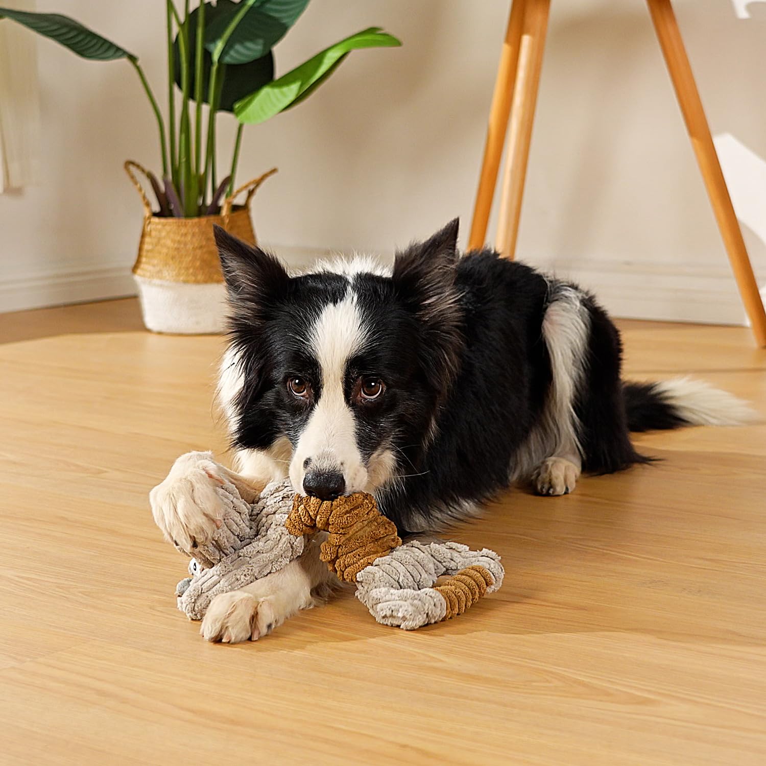 Sedioso dog toy washable materials highlight easy maintenance