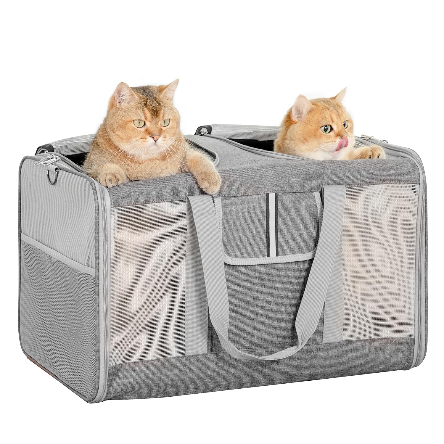 Sedioso extra large cat carrier with two cats inside, offering spacious comfort for long trips.