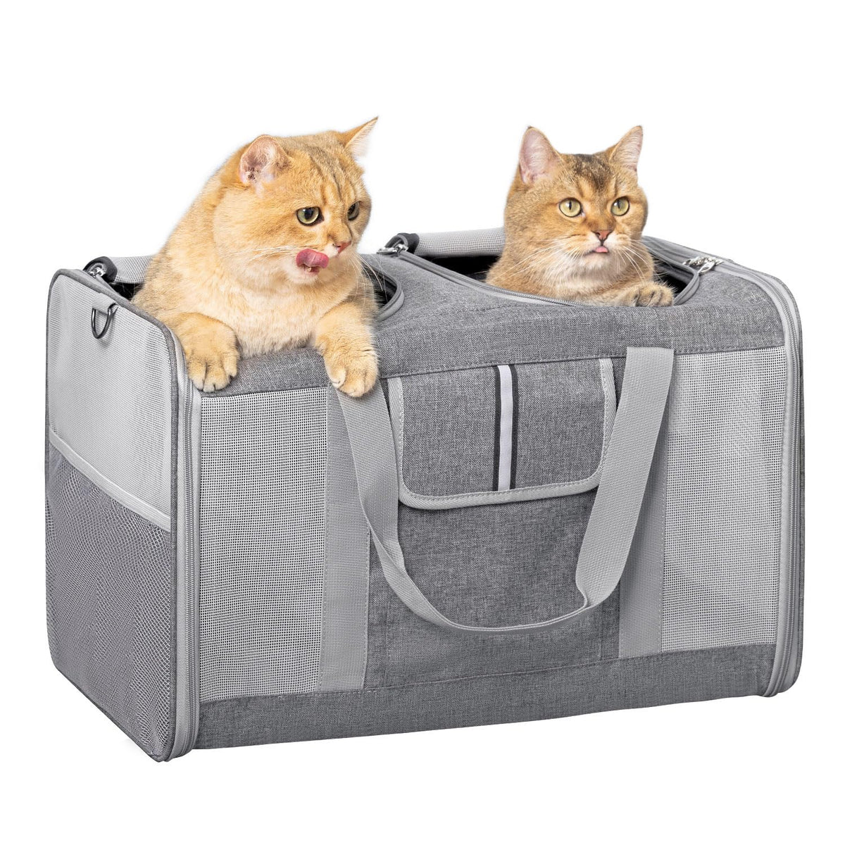Sedioso large cat carrier divided interior keeps two cats separated for calmer transport.