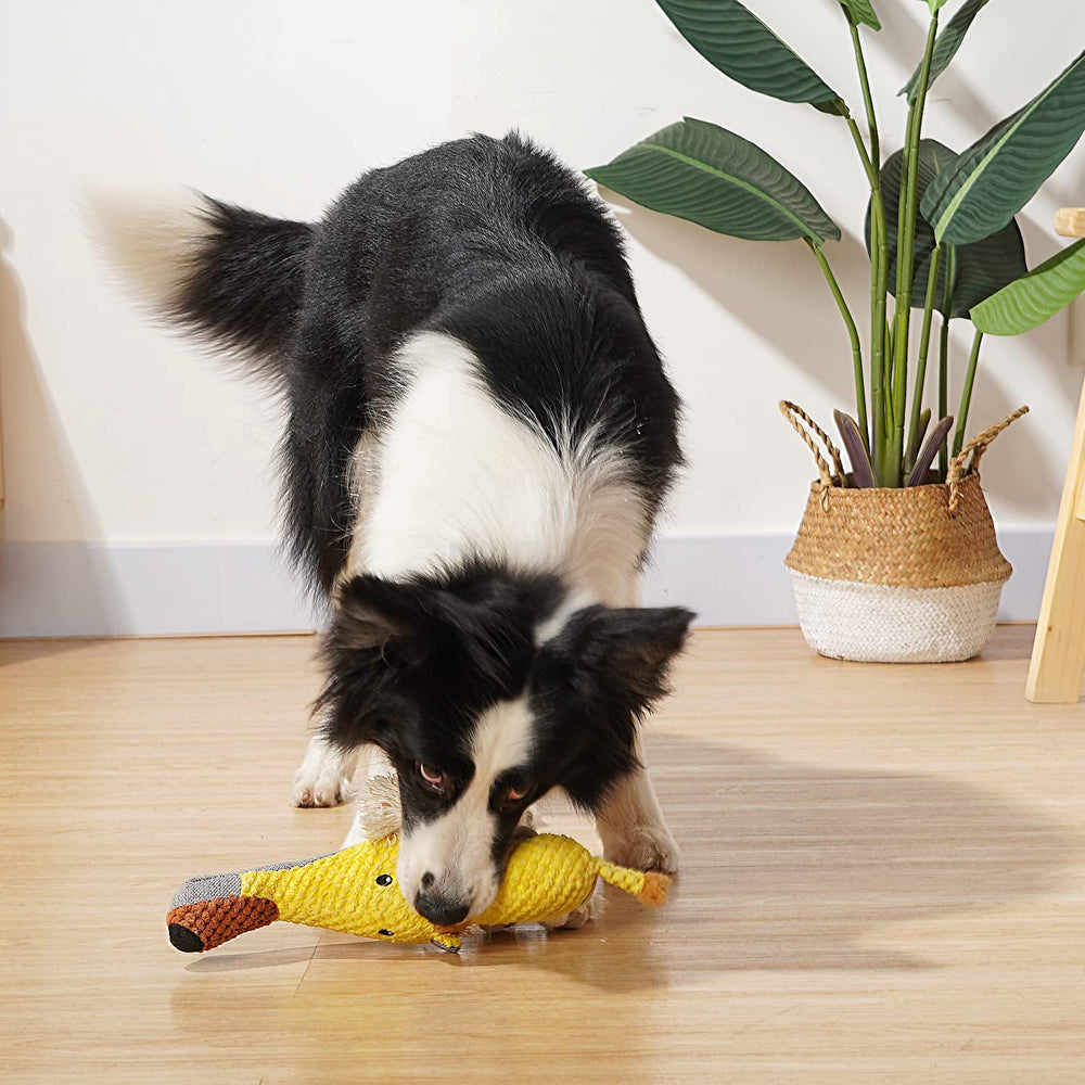 Sedioso Lion toy durable cotton showcases long lasting chew sessions.