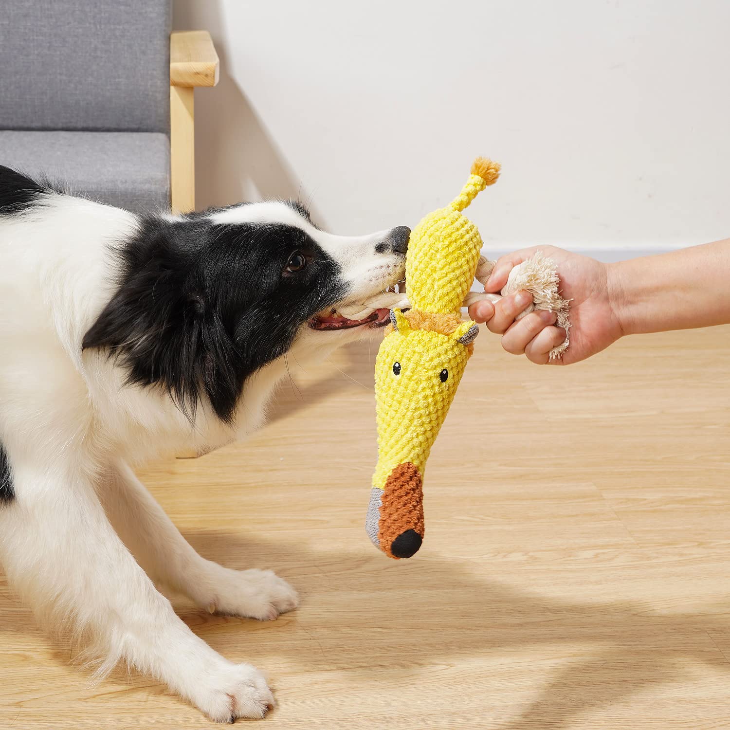 Sedioso Lion dog toy is machine-washable for easy cleanup.