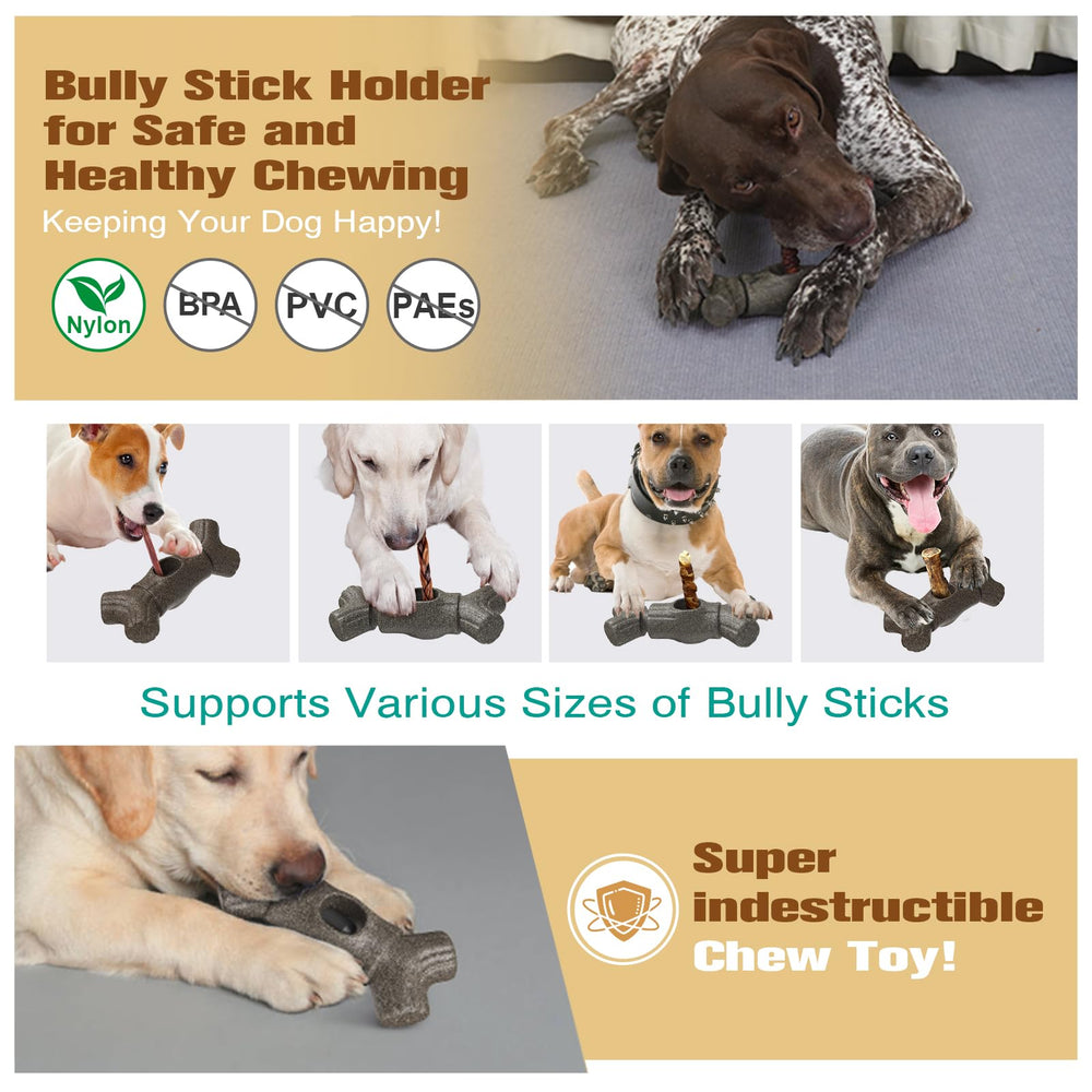 Sedioso Outdoor dog toy demonstrates durable chew and fetch-ready performance.