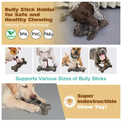 Sedioso Outdoor dog toy demonstrates durable chew and fetch-ready performance.