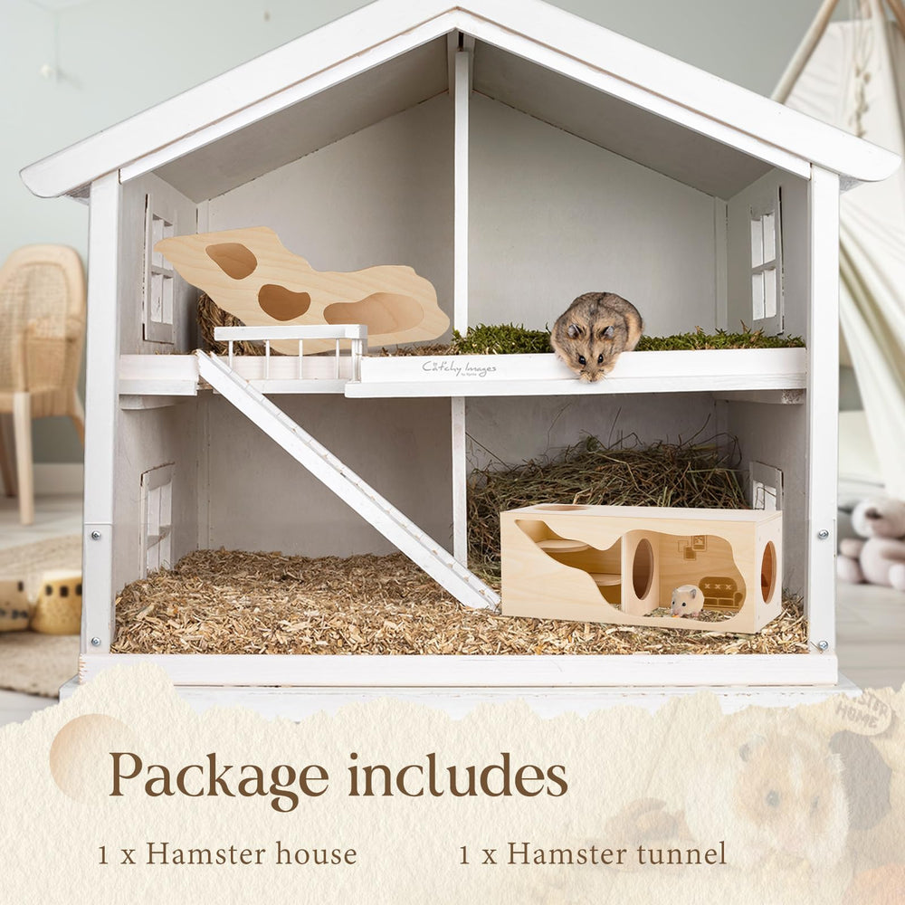 Seenelling hamster tunnel with climbing ladder supports exploration and exercise.