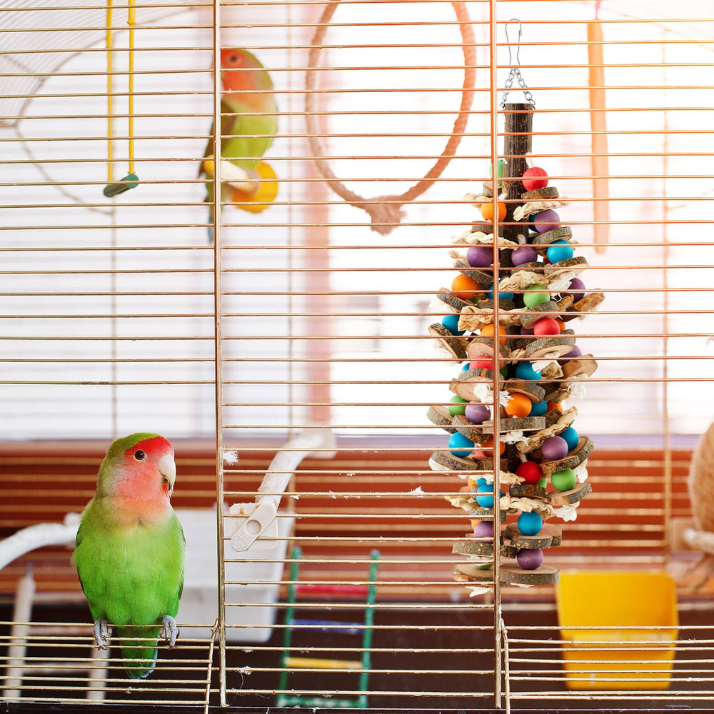 Seenelling home decor parrot toy hangs stylishly while enriching your bird's environment.
