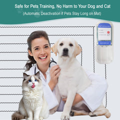 SEERWAY Electric Pet Training Mat at doorway supports boundary training during entry.