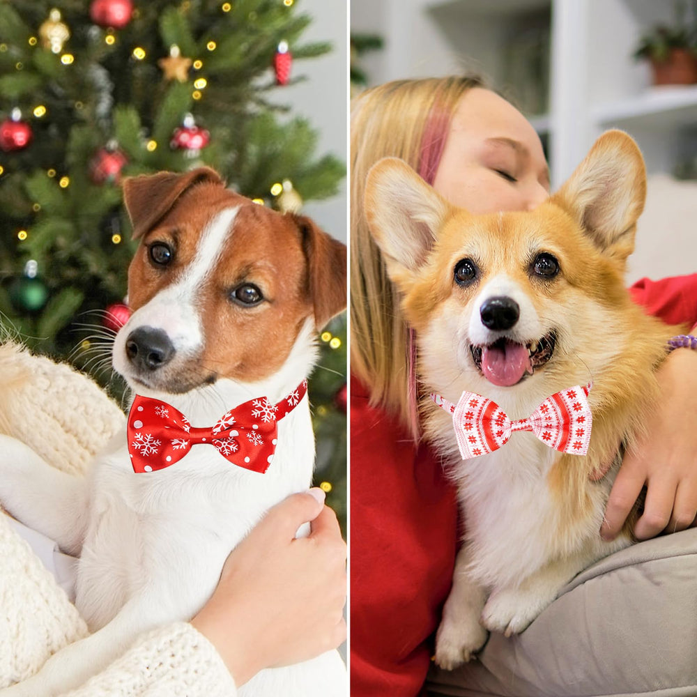 Segarty grooming neck ties designed for daily wear on pets