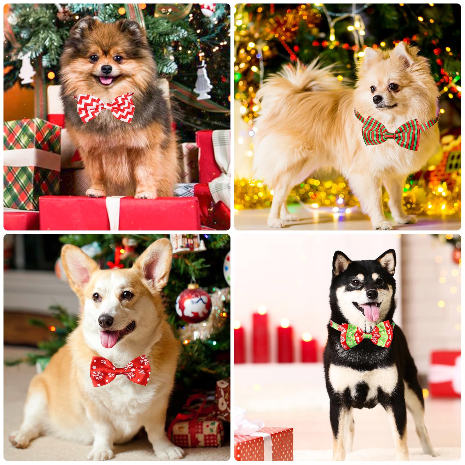 Segarty dog bow tie ideal for weddings and gifts