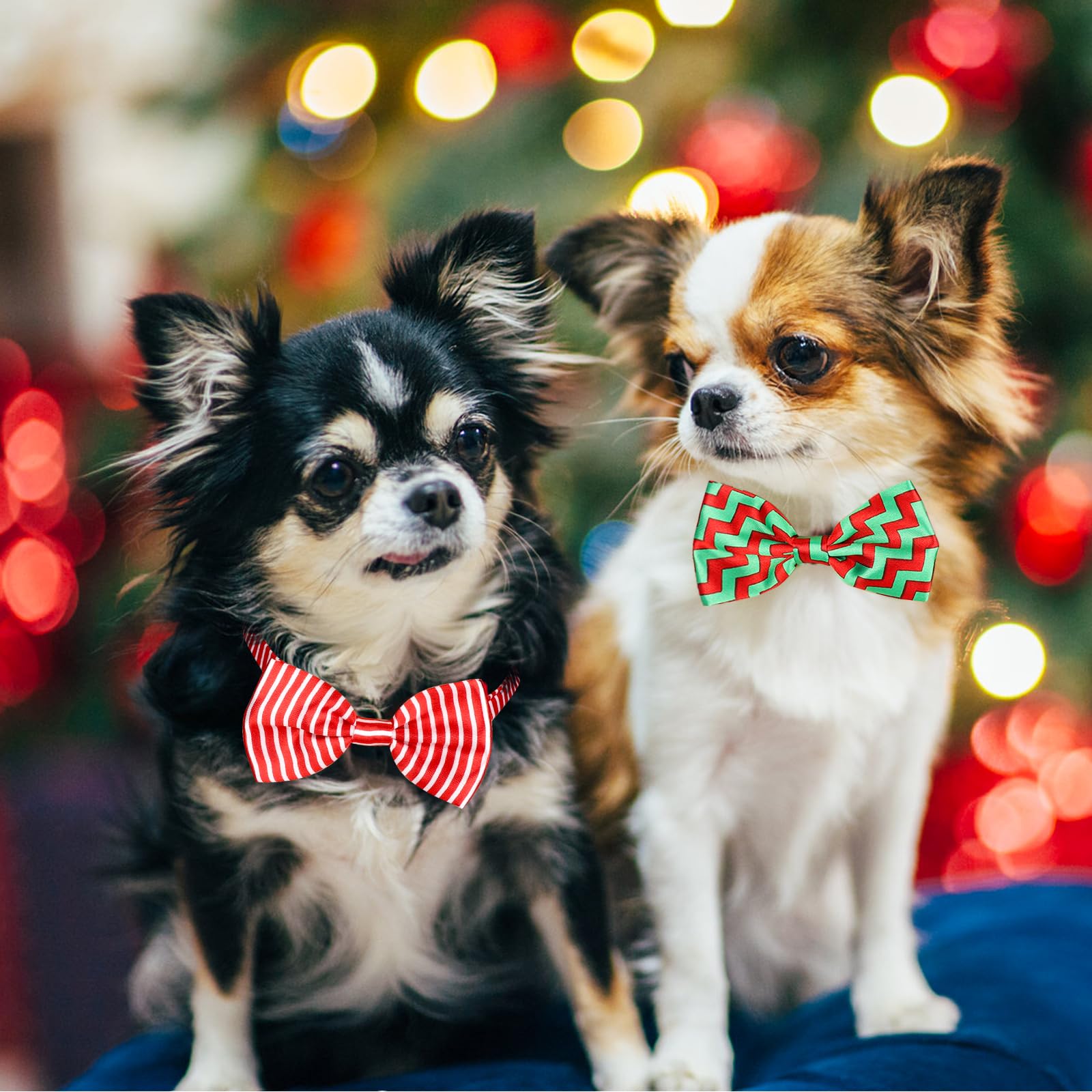 Segarty dog bow tie fits small to large pets with 9.6–16.7 inch neck