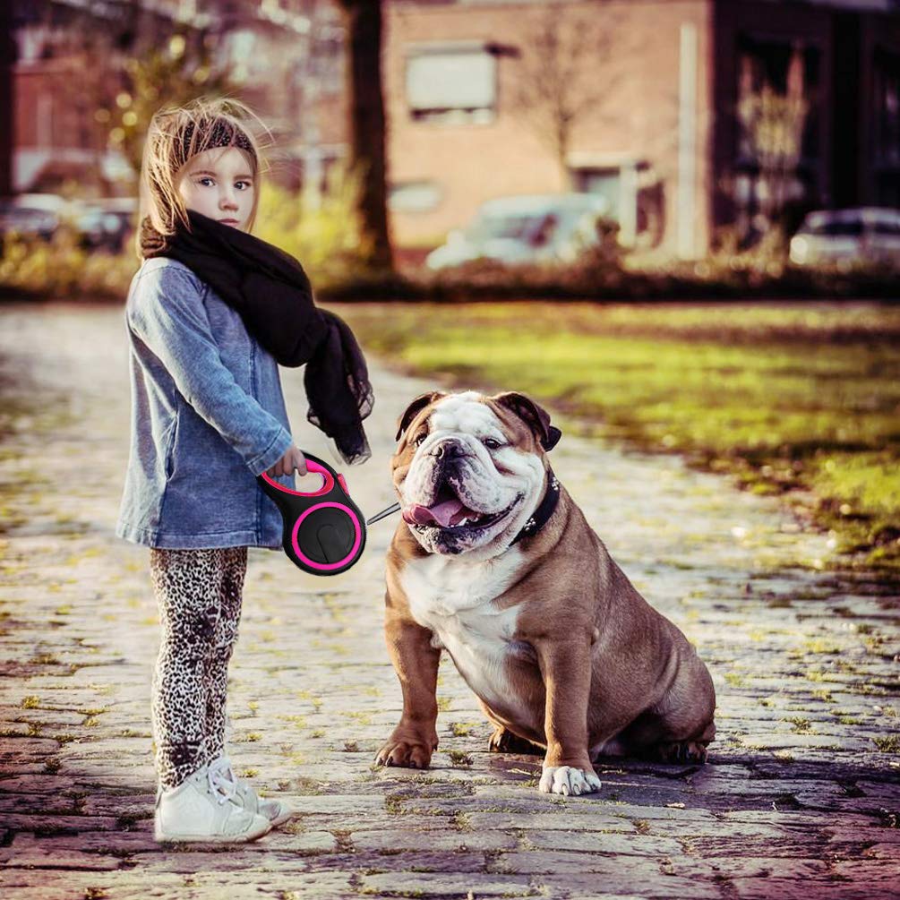 Segarty leash in-use design supports training and running with active dogs.