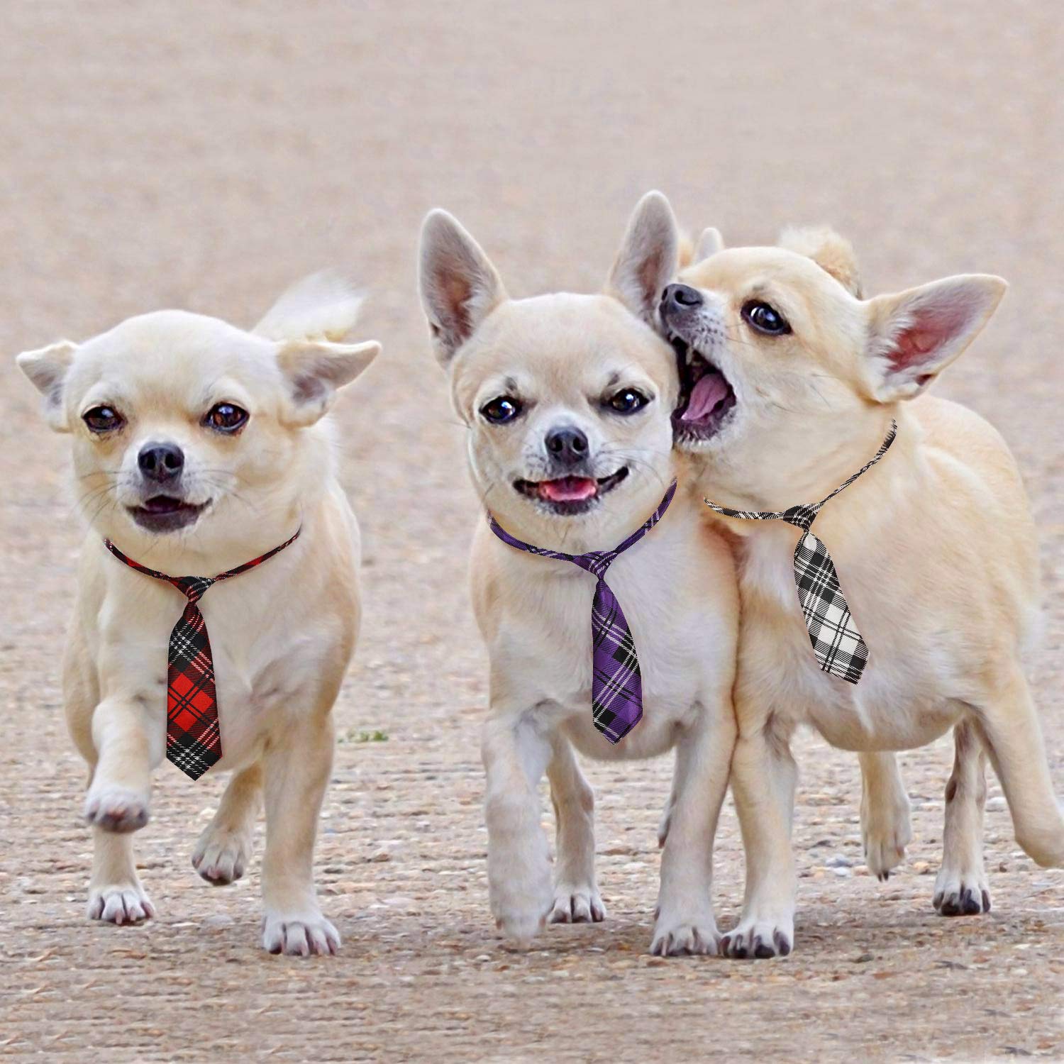 Segarty dog ties in bulk ideal for events like weddings, holidays, or photo shoots.