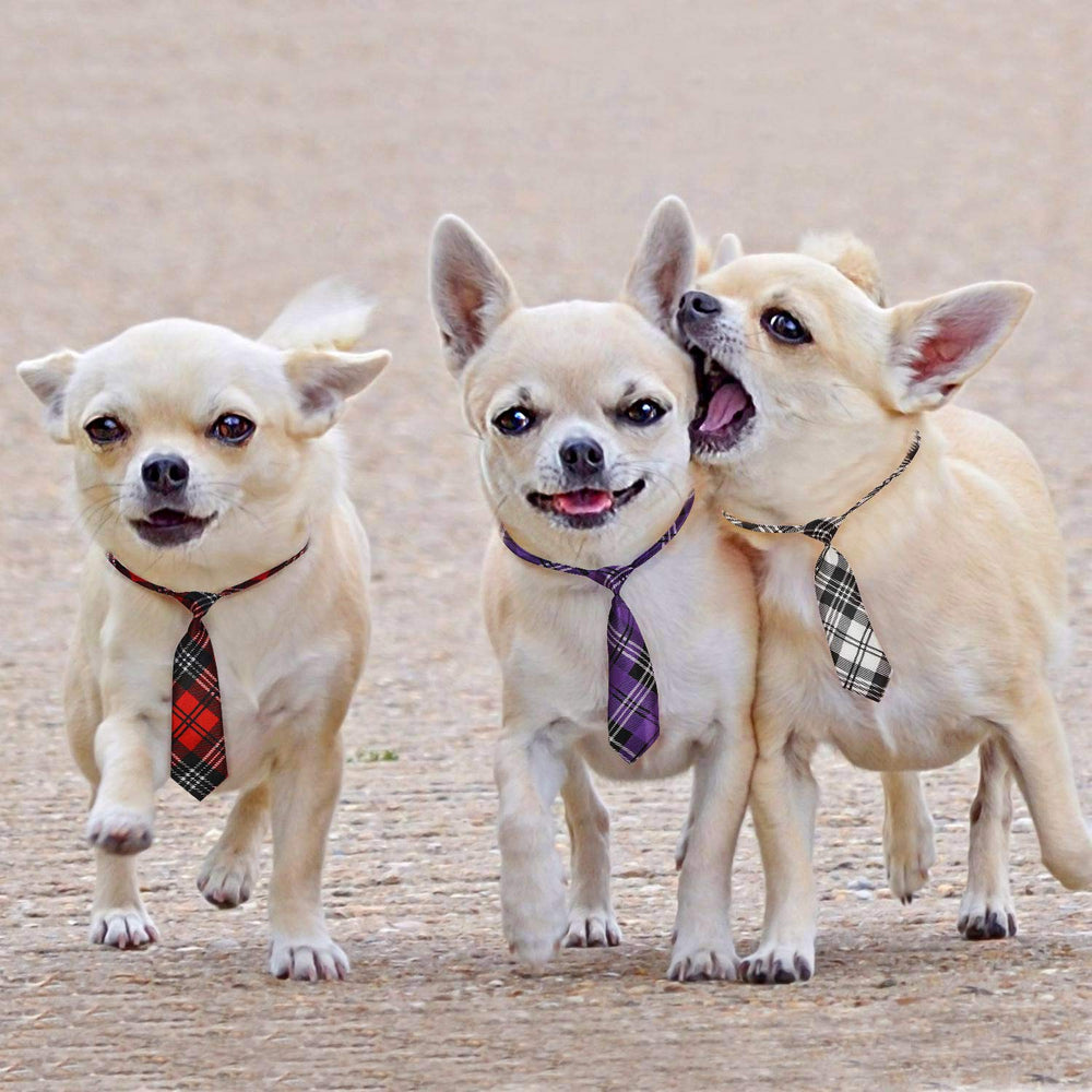 Segarty dog ties in bulk ideal for events like weddings, holidays, or photo shoots.