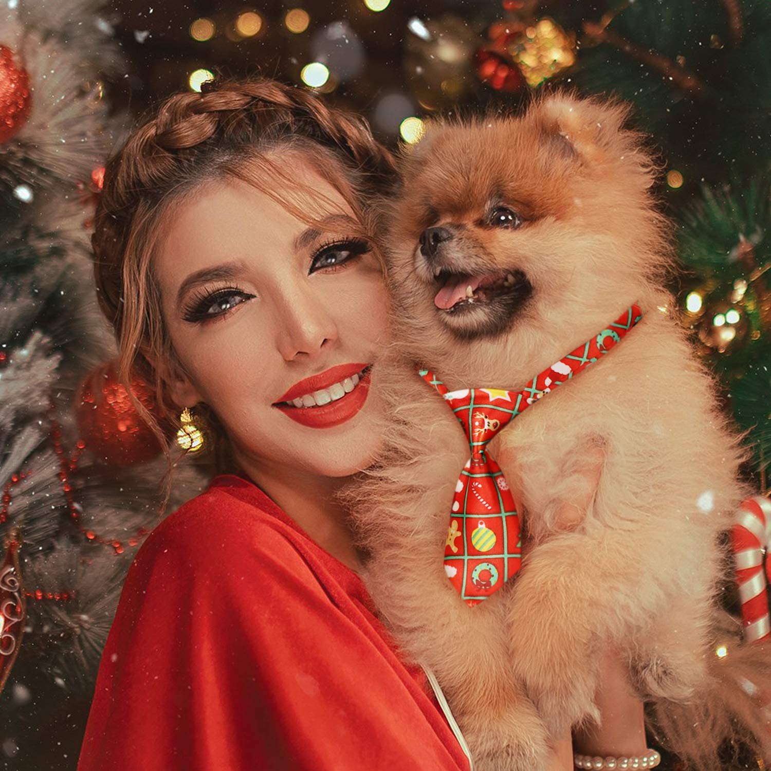 Segarty dog-ties multi-pet compatibility suggests great option for cats and small dogs.