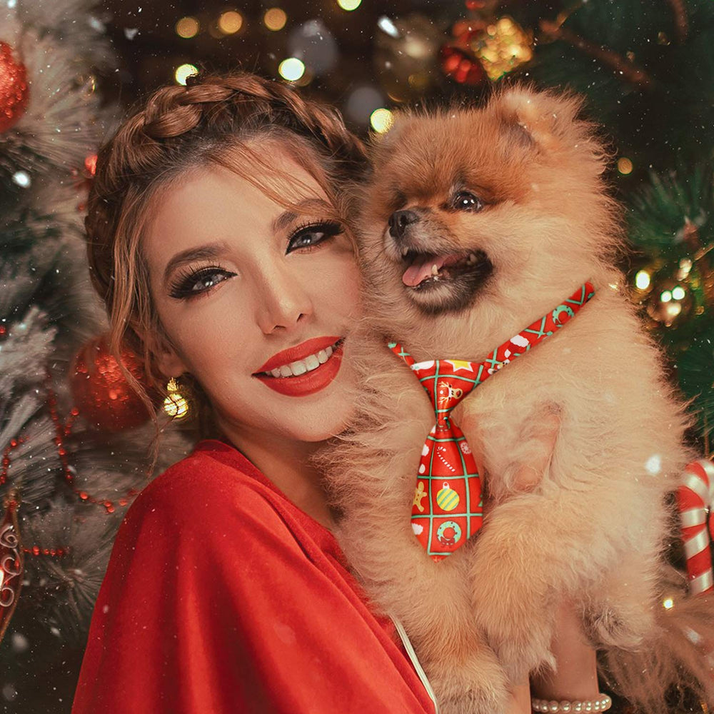 Segarty dog-ties multi-pet compatibility suggests great option for cats and small dogs.