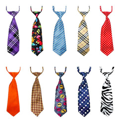 Segarty dog ties vibrant patterns collection showcases playful looks for daily wear and events.