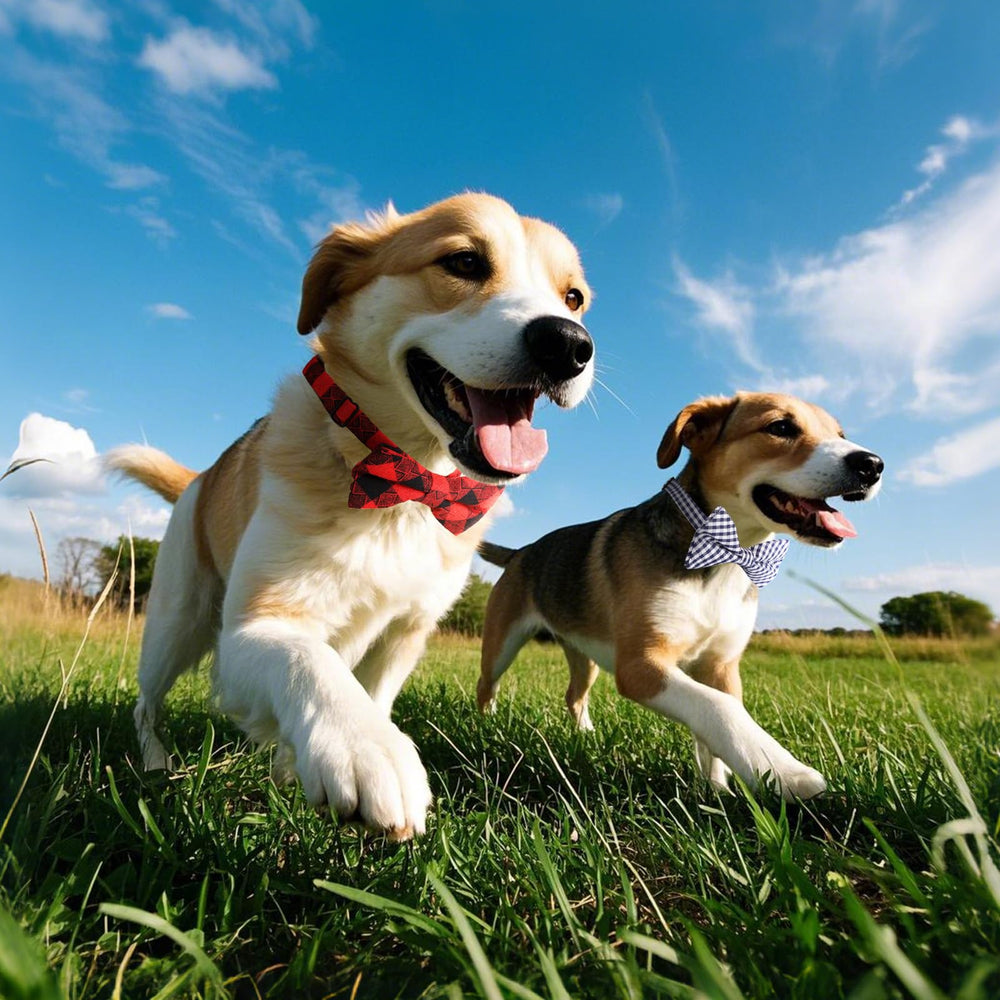 Segarty puppy bow ties adjustable neckband fits many pets