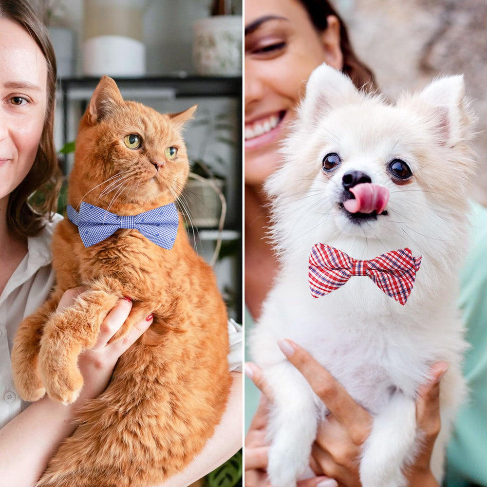 Segarty puppy bow ties buckle closure closeup easy attachment