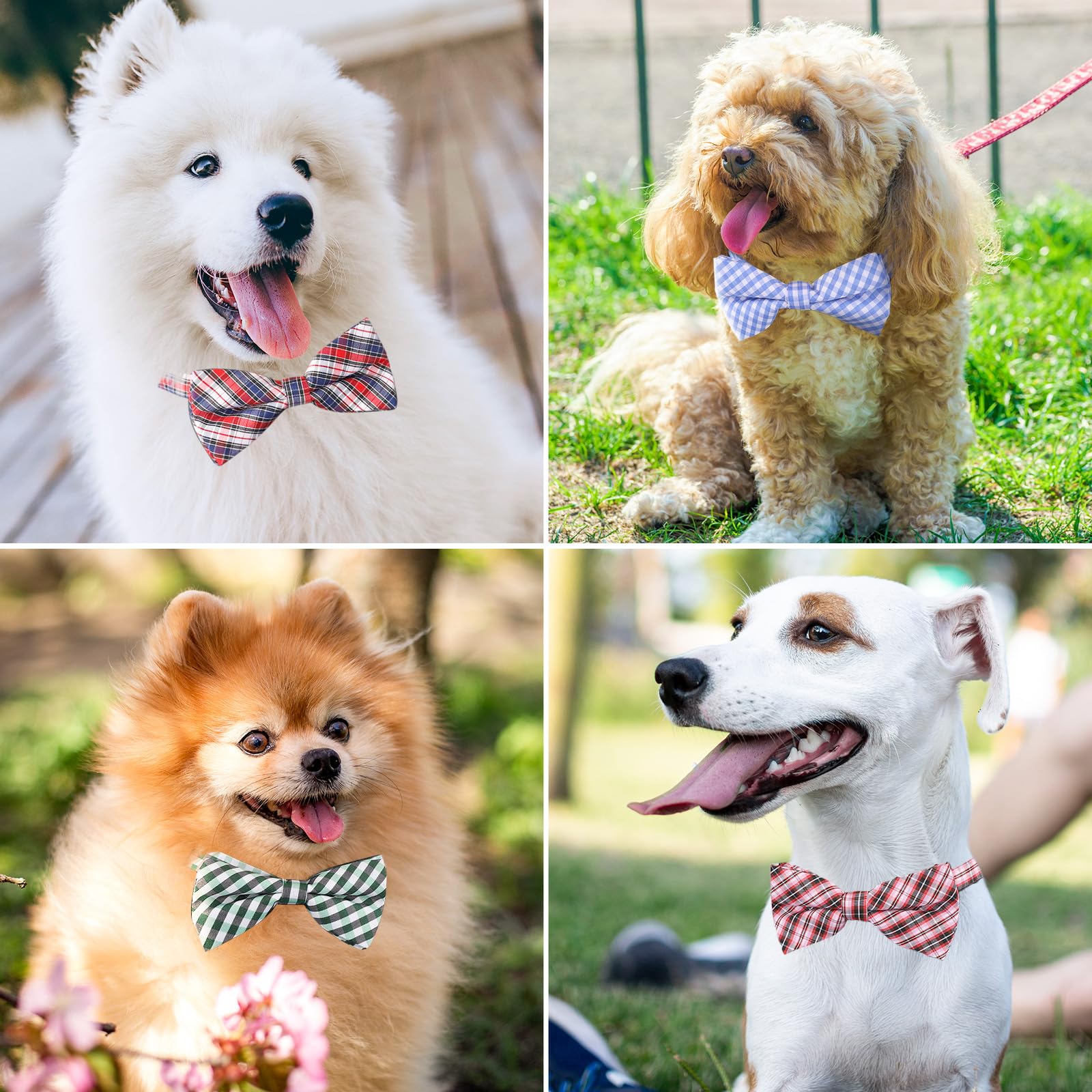 Segarty puppy bow ties gift-pack ready for gifting moments