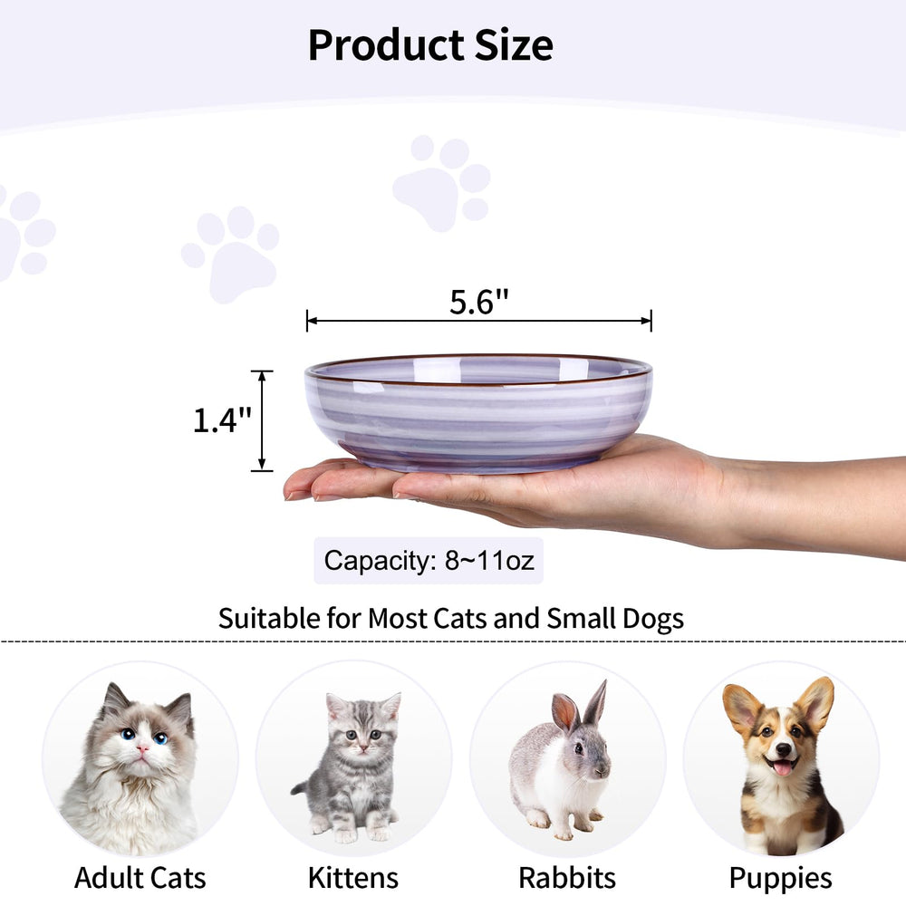 Selamica cat bowls colorful-exterior showcase vibrant exterior colors that brighten feeding time.