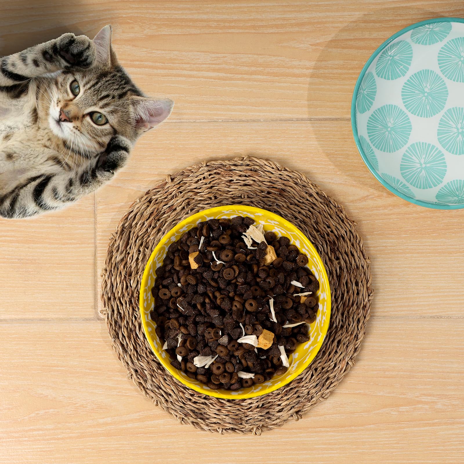 Selamica bowls are dishwasher and microwave safe for convenience
