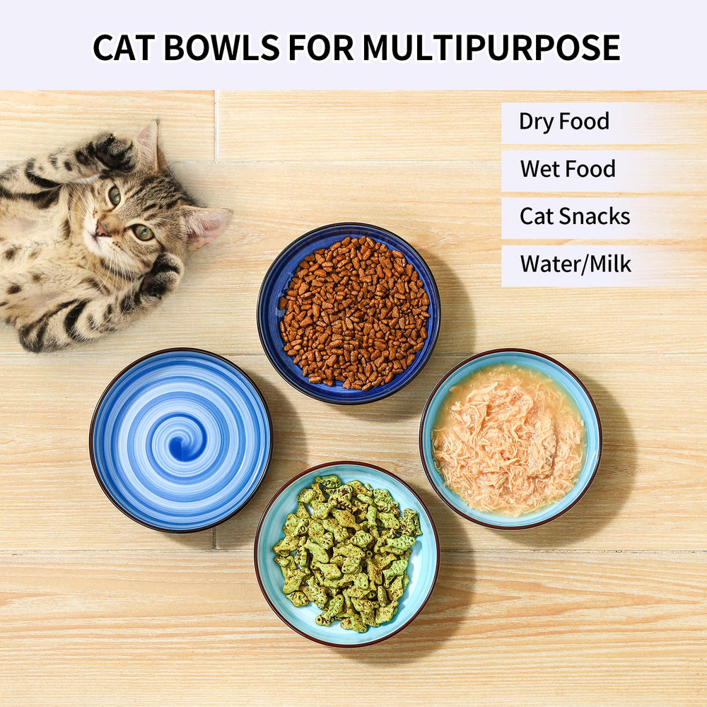 Selamica kitten mealtime setup with shallow bowls for comfortable feeding.