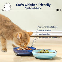 Selamica cat bowls swirl pattern with vibrant colors for cheerful mealtime.