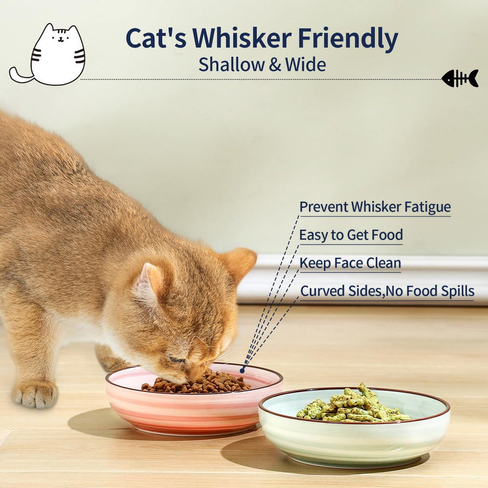 Selamica cat bowls swirl-pattern-inside highlight colorful inner design for playful dining.