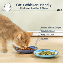 Selamica cat bowls wide shallow design reduces whisker fatigue during meals.