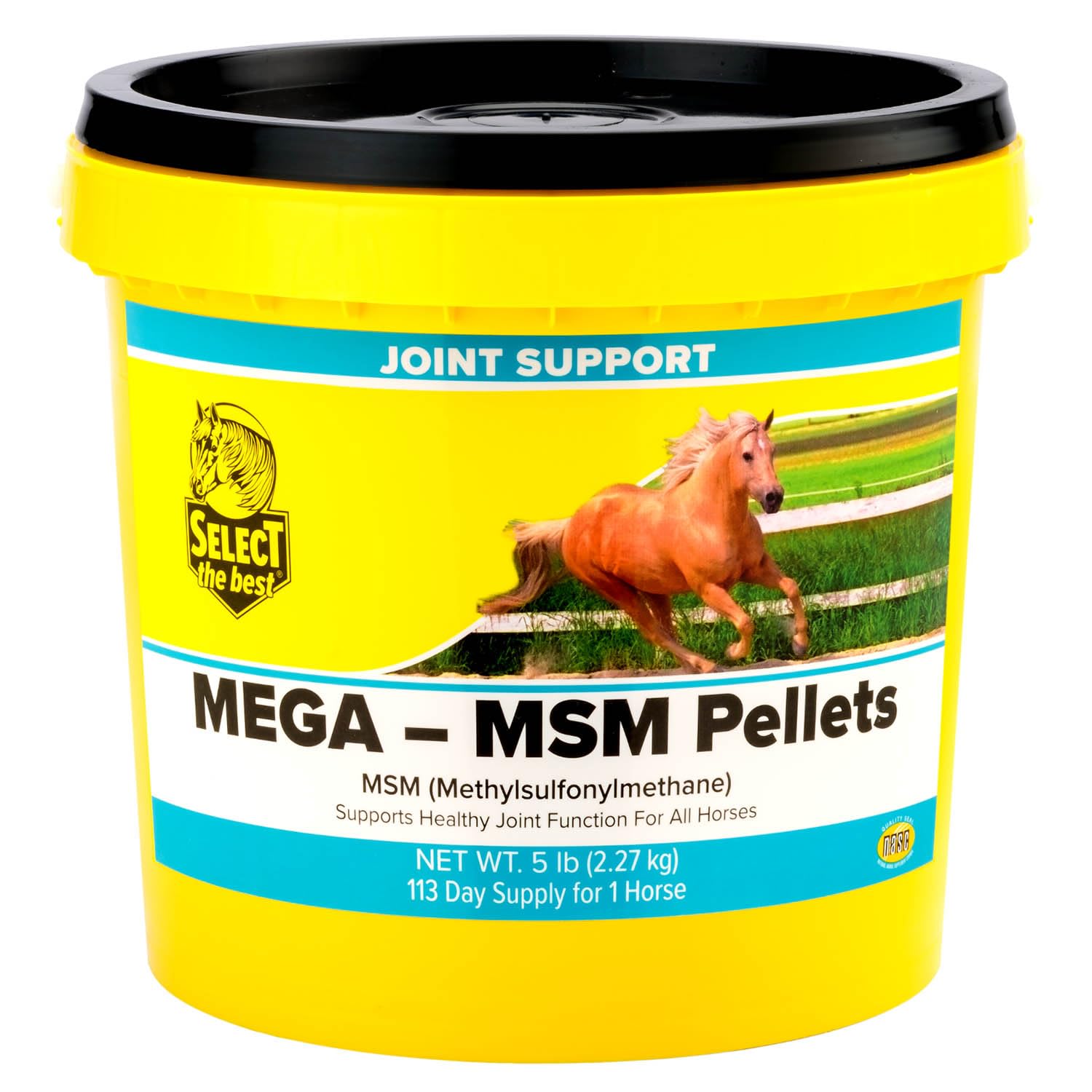 Select the Best Mega-MSM Pellets 5 lb bag — palatable joint support, easy administration.