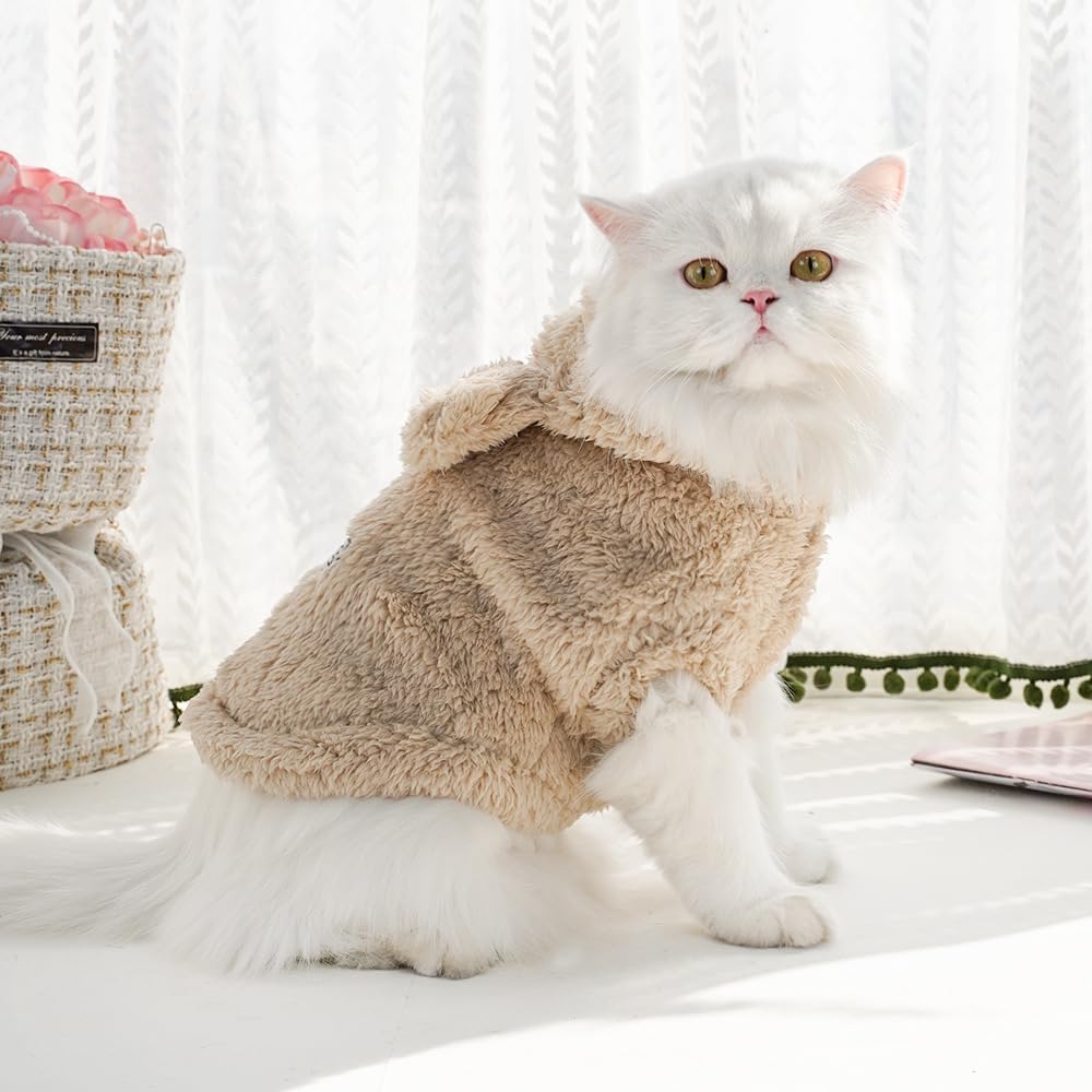 Selena bunny ears design on pet for cute styling in photos