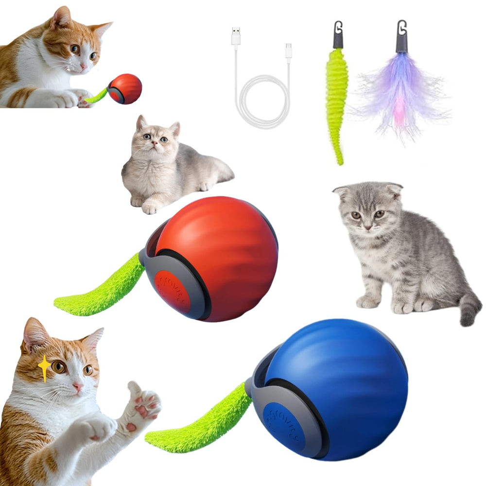Self-moving cat toy ball with tail in blue and orange promotes interactive play for bored cats.