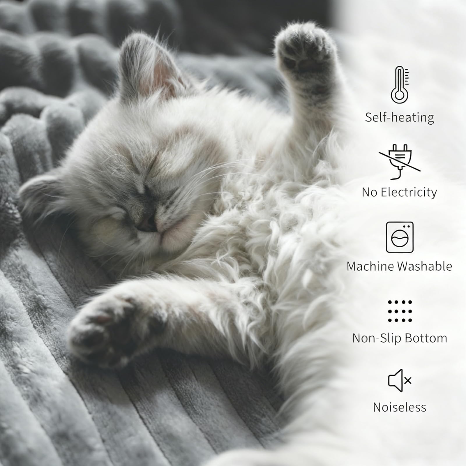 Self-Warming Cat Bed fits crates or sofas for versatile placement