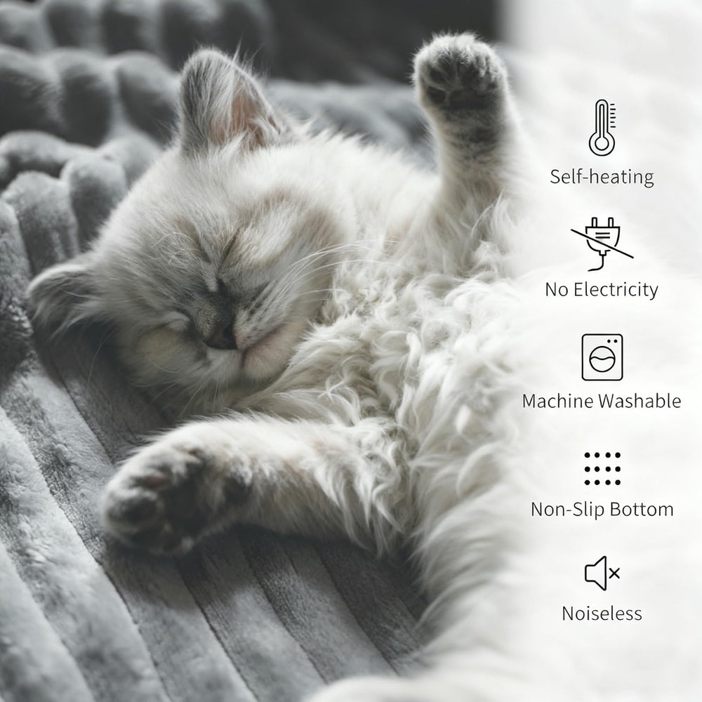 Self-Warming Cat Bed fits crates or sofas for versatile placement